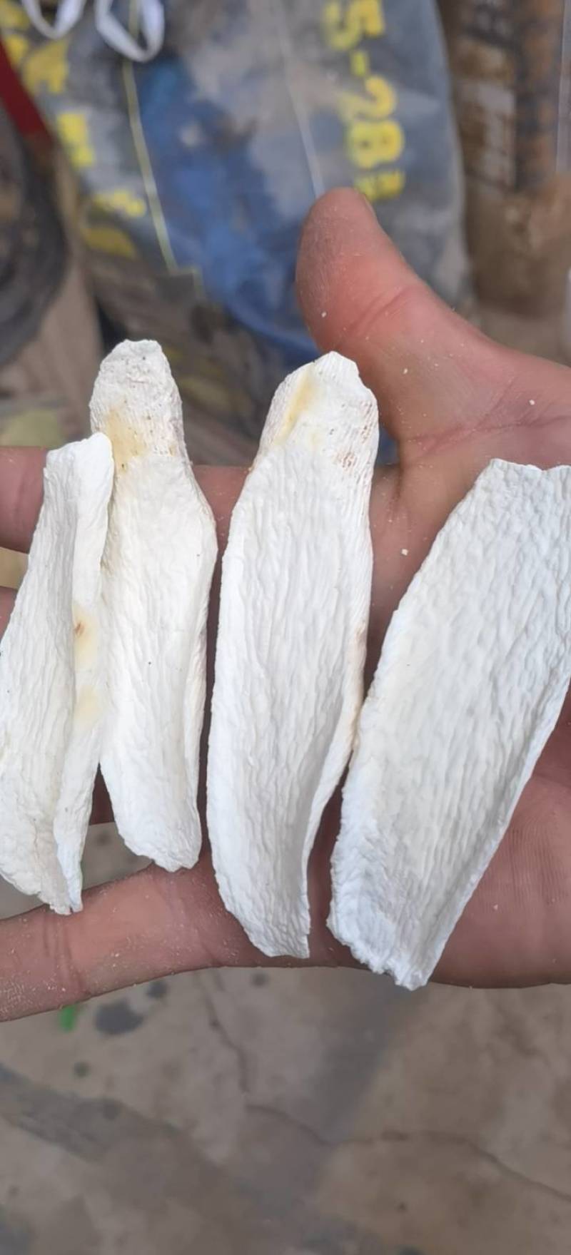 山药选铁棍山药柳叶片关书药业品质保证