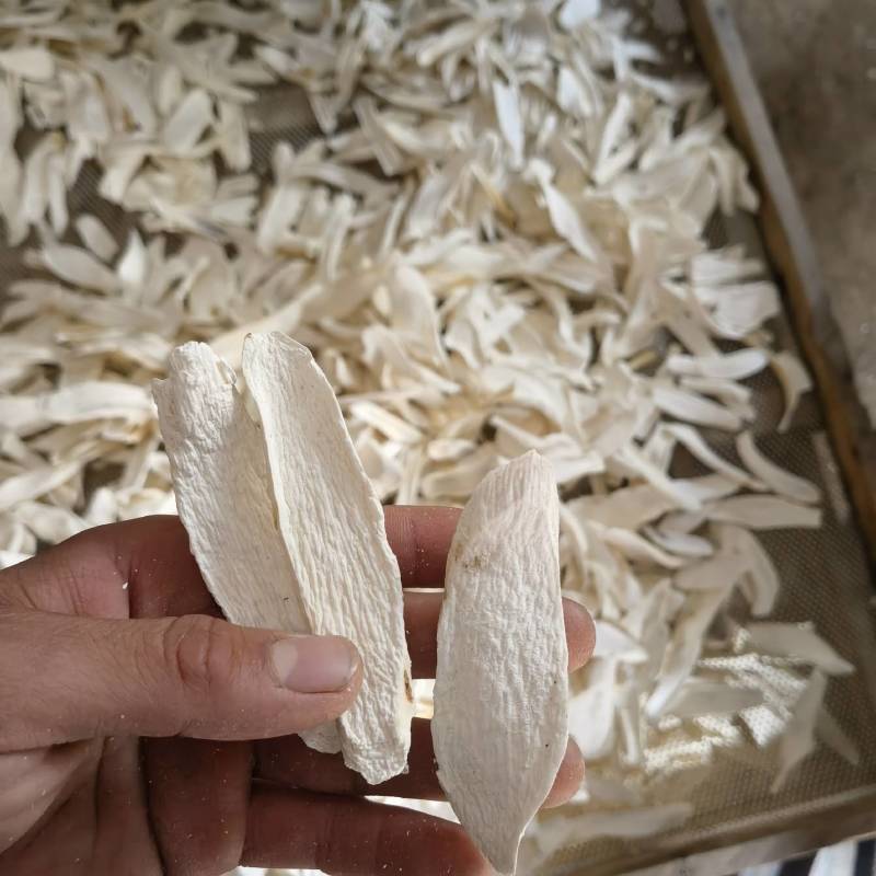 山药选铁棍山药柳叶片关书药业品质保证