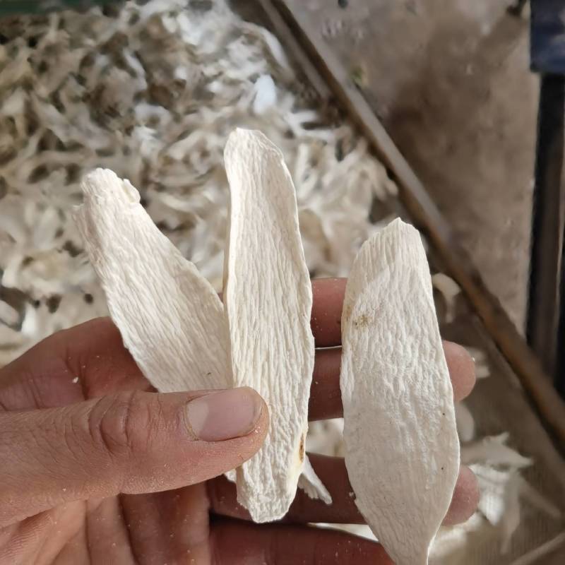 山药选铁棍山药柳叶片关书药业品质保证