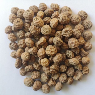 油莎豆