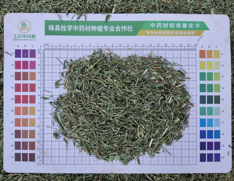 柴胡青苗饮片货投料货，过筛过沫颜色青刀工好，供药厂大货