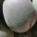 河北省昌黎县心里美红心萝卜大量上市，价格便宜，欢迎选购
