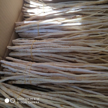 去头捆把无硫北沙参。中细自然白色,纯干买家放心吃了安心