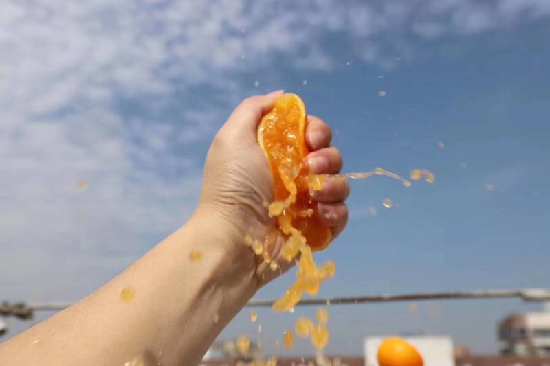 【柑桔】早熟蜜橘产地批发皮薄口感甜对接批发电商可视频