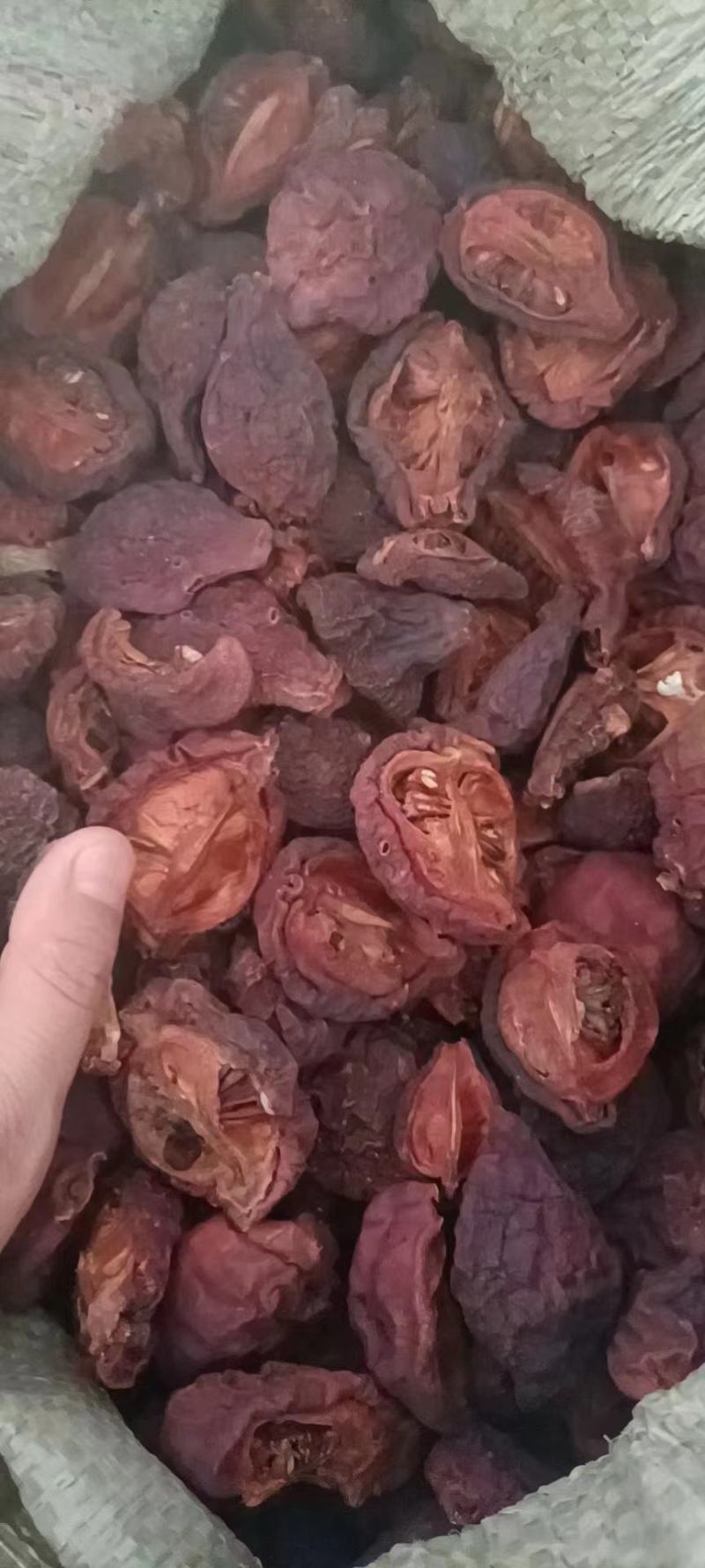 皱皮木瓜，四川达州一手货源，个头匀称，质量好，欢迎来电