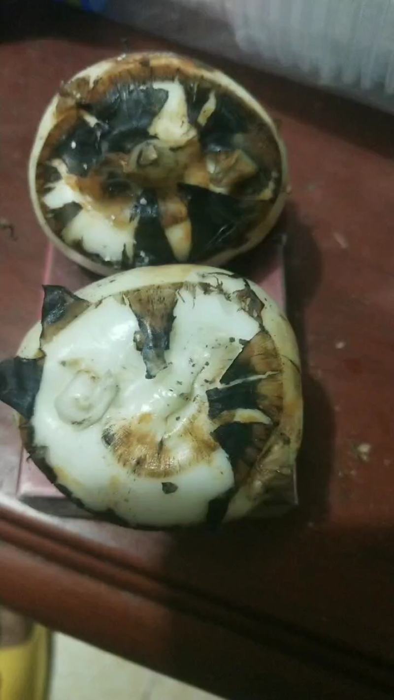 广西钟山精品荸荠马蹄桂蹄三号产地直发货量充足量大