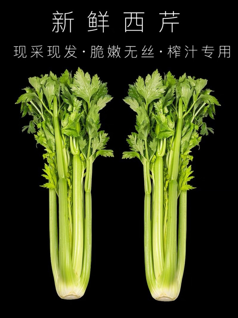 美国皇后西芹