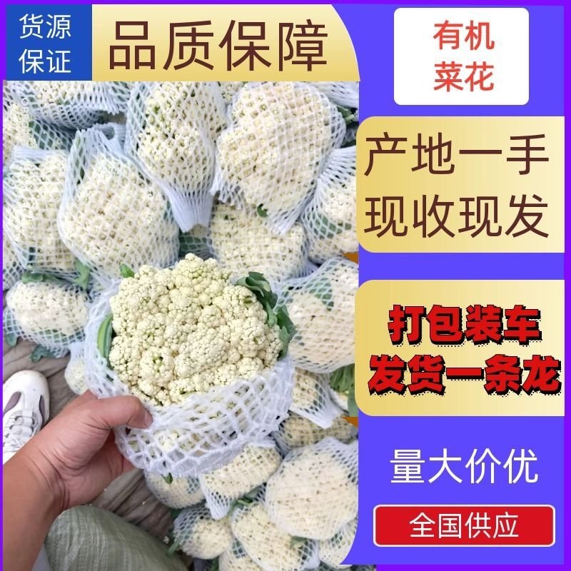 精品散花精品菜花加工厂商超量大质优产地直发