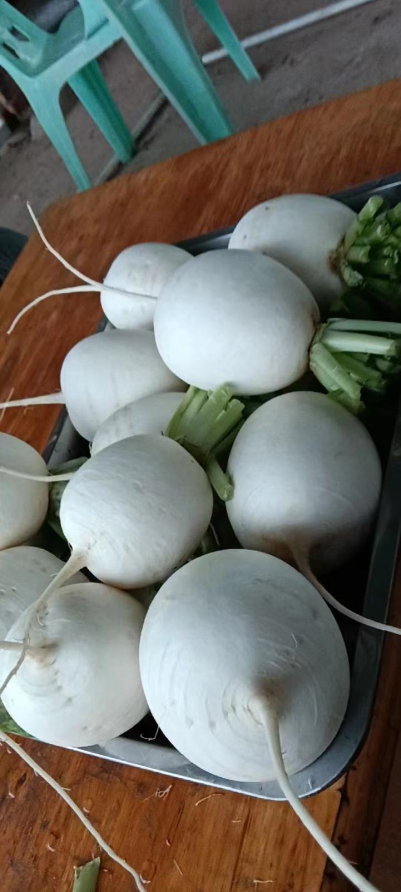 遂宁圆根萝卜，圆萝卜，圆白萝卜，泥货，洗货大量供应