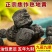 九蒸九晒熟地黄药材正宗野生九制熟地怀地黄四物汤原料