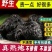 九蒸九晒熟地黄药材正宗野生九制熟地怀地黄四物汤原料