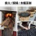 九蒸九晒熟地黄药材正宗野生九制熟地怀地黄四物汤原料