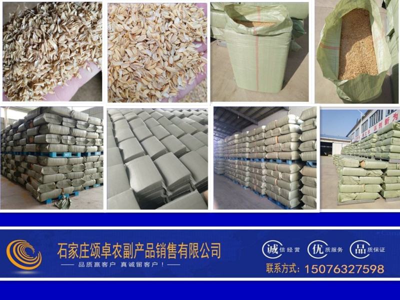 除尘风选高品质稻壳质量有保障应用于物料发酵畜牧垫料填充