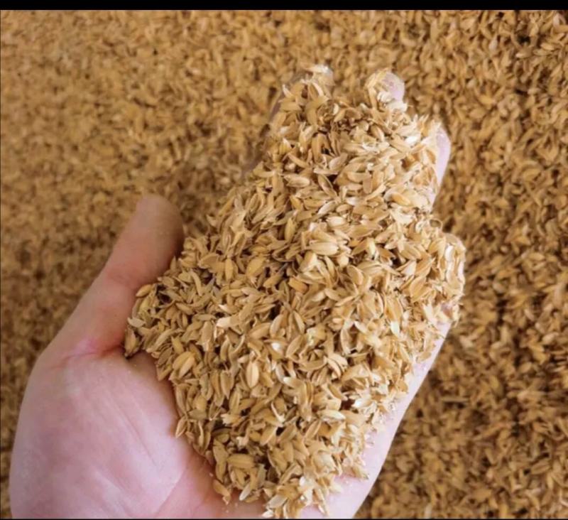 除尘风选高品质稻壳质量有保障应用于物料发酵畜牧垫料填充