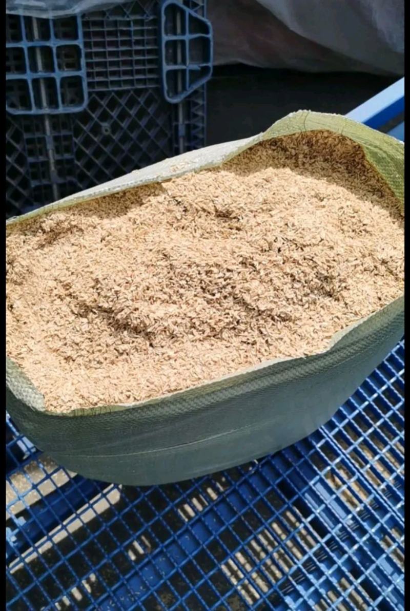 除尘风选高品质稻壳质量有保障应用于物料发酵畜牧垫料填充
