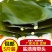 盐渍海带头大头大连海带头批发花皮厚海带板料电商一件代发