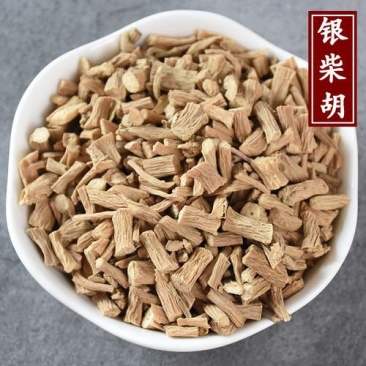 银柴胡统段产地甘肃永盛药业