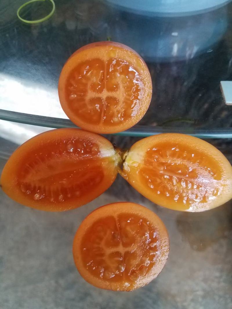树番茄