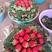 凉山彝族自治州德昌县，冬草莓正式开始，包装齐全，质量保证