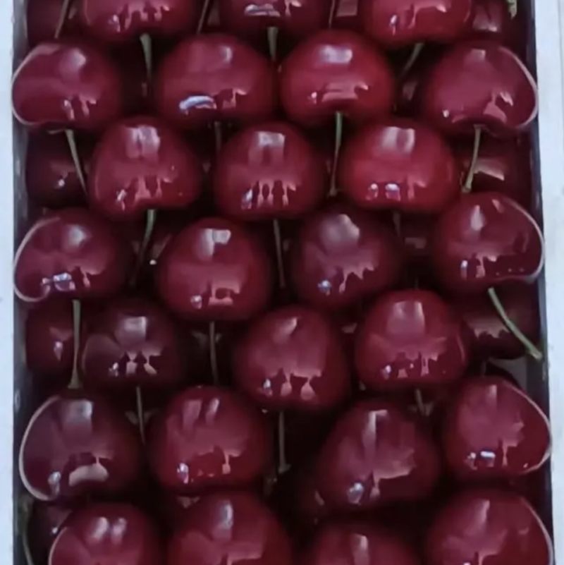 樱桃