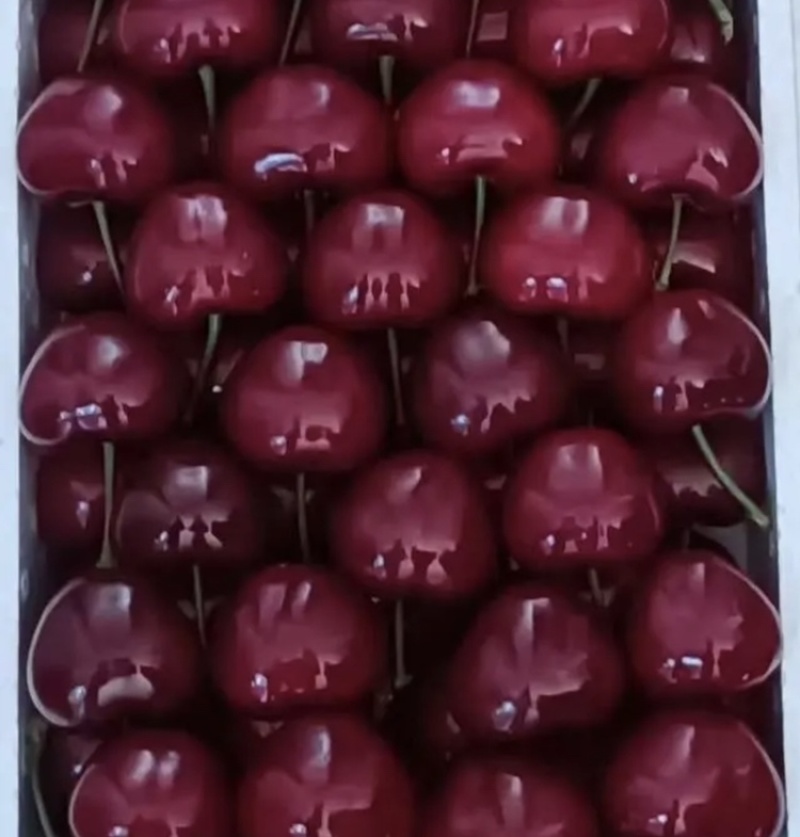 樱桃