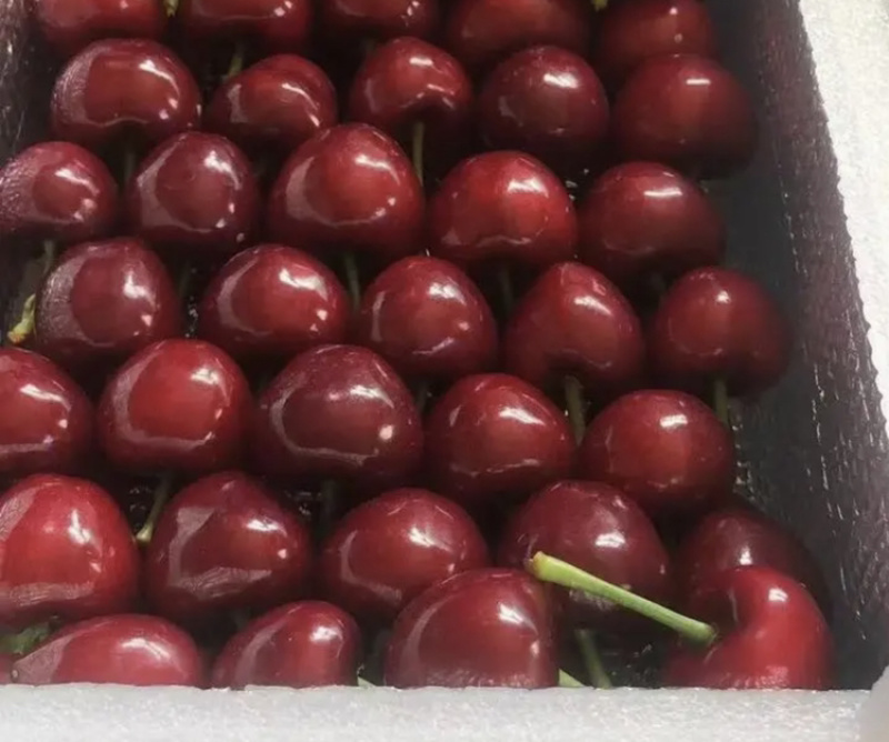 樱桃
