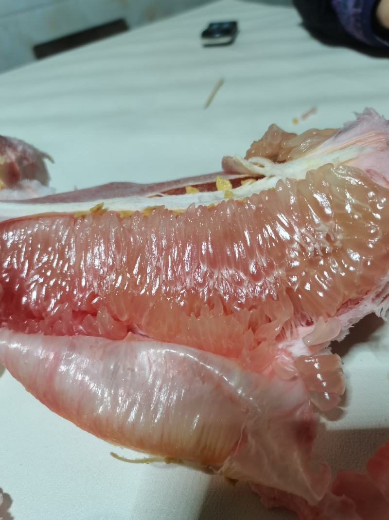 三红蜜柚