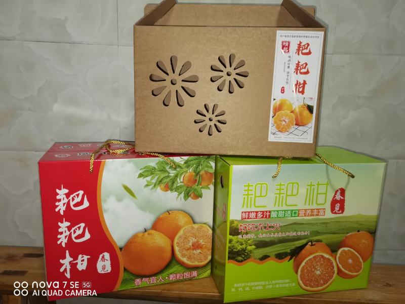 三红蜜柚