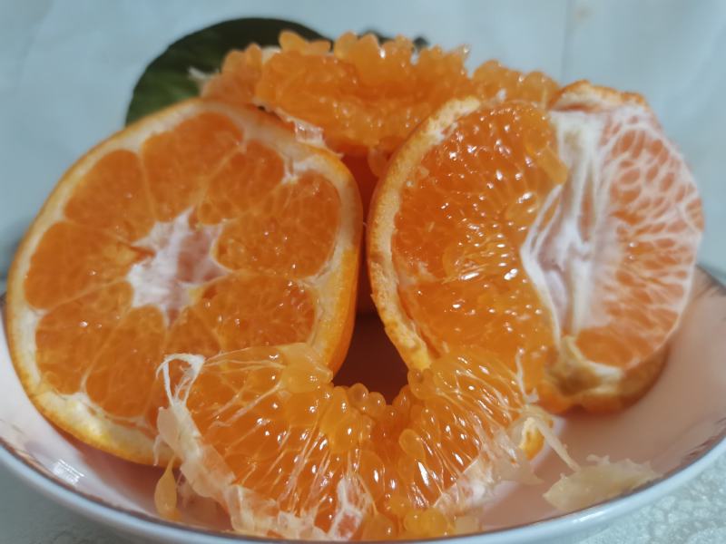 三红蜜柚