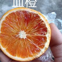 塔罗科血橙是麻阳优质水果口感良好酸甜适口