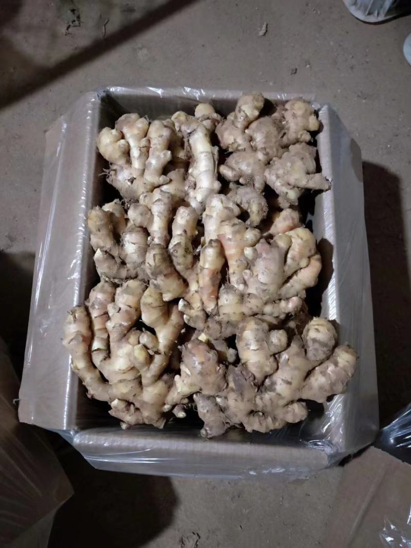 《精品小黄姜》产地直供*货源充足*品质保证*代发全国各商