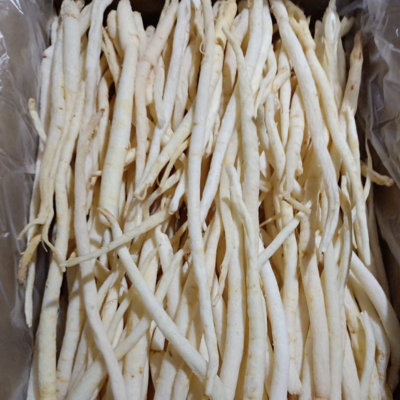 沙参，川明参，产地直发量大欢迎来电咨询下单，以免货发错，