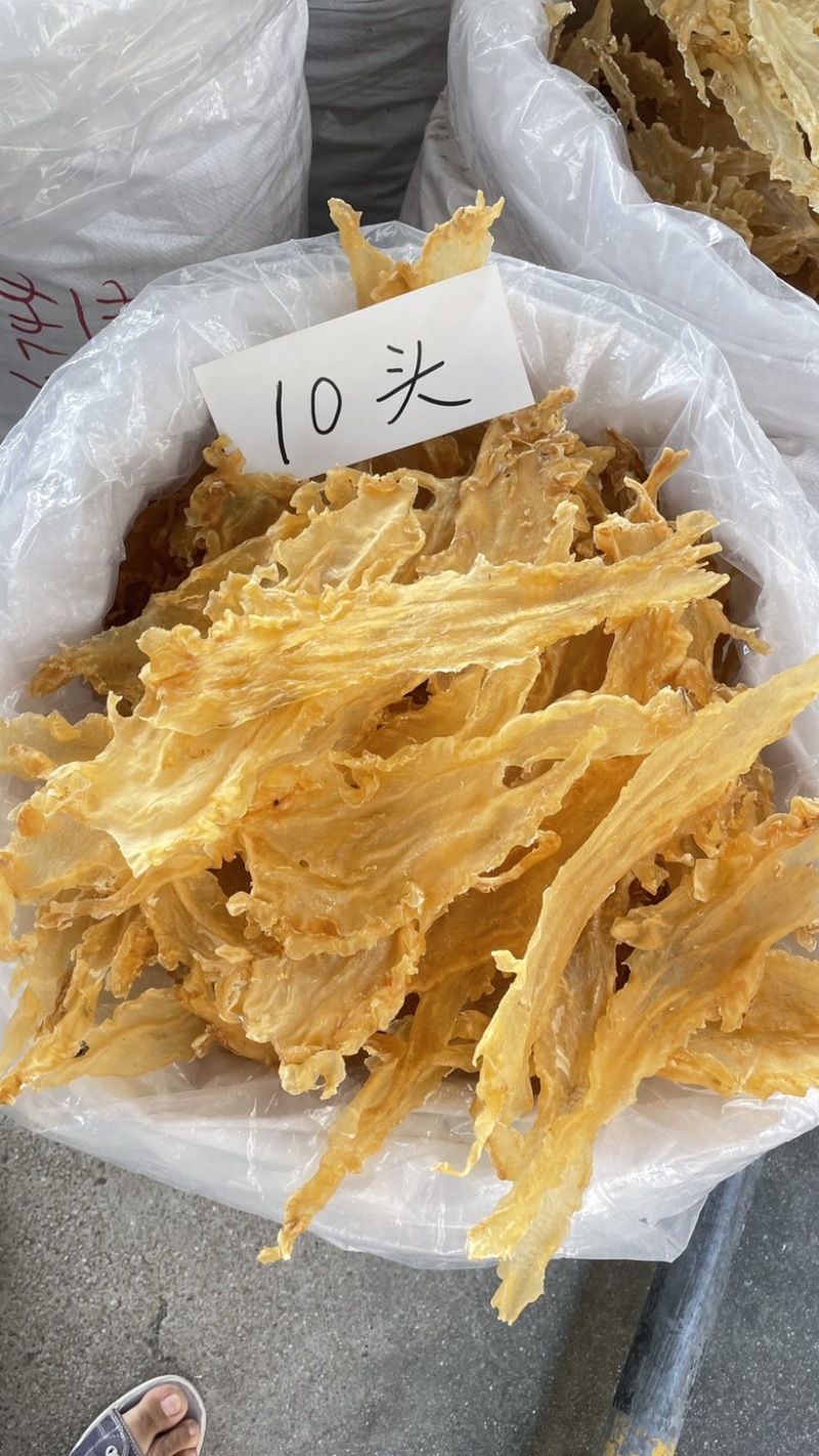 大量批发鳕鱼胶花胶10头15头25头35头55头75头