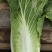 山西高平二青大白菜