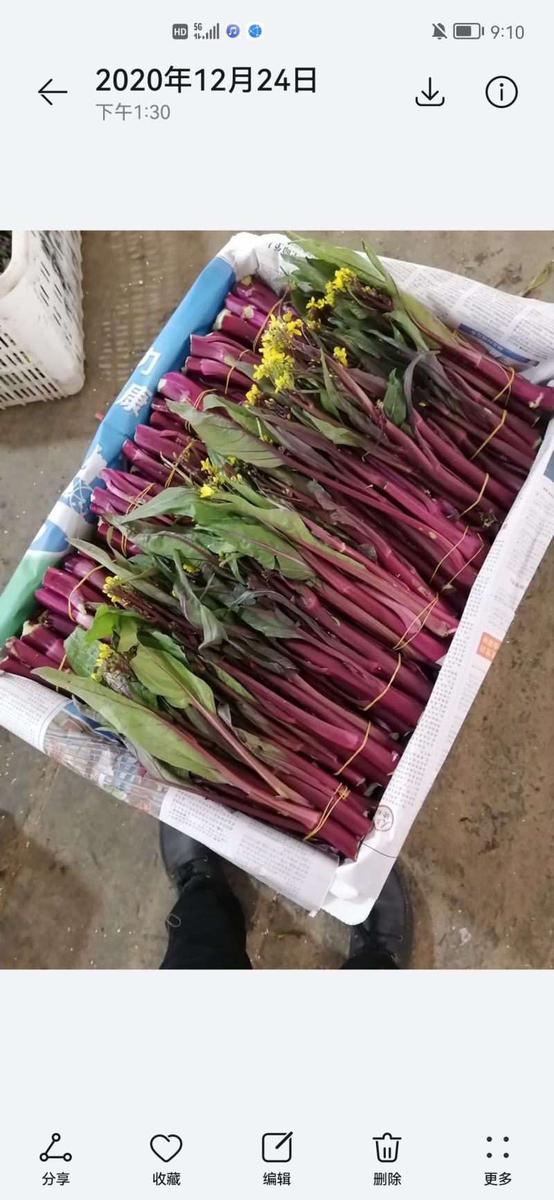 精品红菜苔