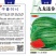 礼品西瓜种子～九龙迷你