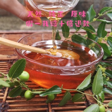 批发零售枣花蜜、天然大枣蜜蜂蜜