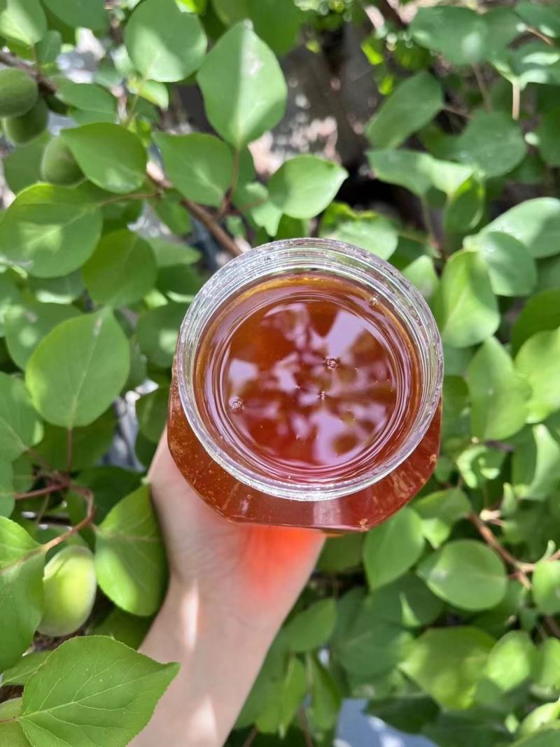 批发零售枣花蜜、天然大枣蜜蜂蜜