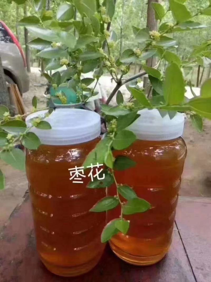 批发零售枣花蜜、天然大枣蜜蜂蜜