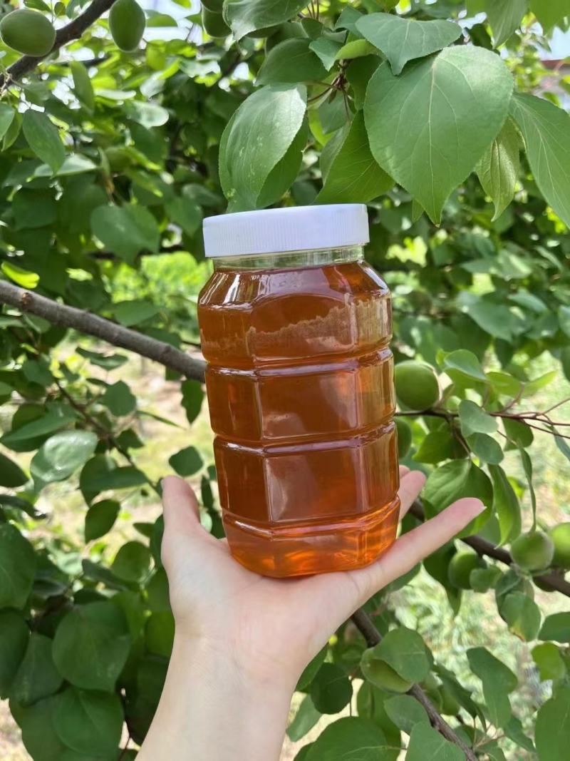 批发零售枣花蜜、天然大枣蜜蜂蜜