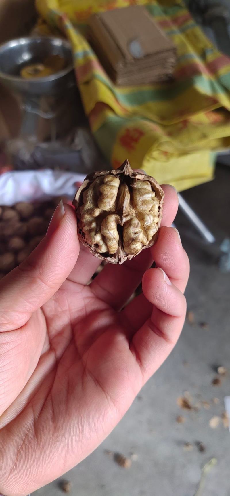 云南麻子核桃批发散装干果薄皮核桃皮薄肉满干熟核桃