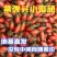 福建精品紫弹头紫色小西红柿小番茄圣女果产地直供大量有货