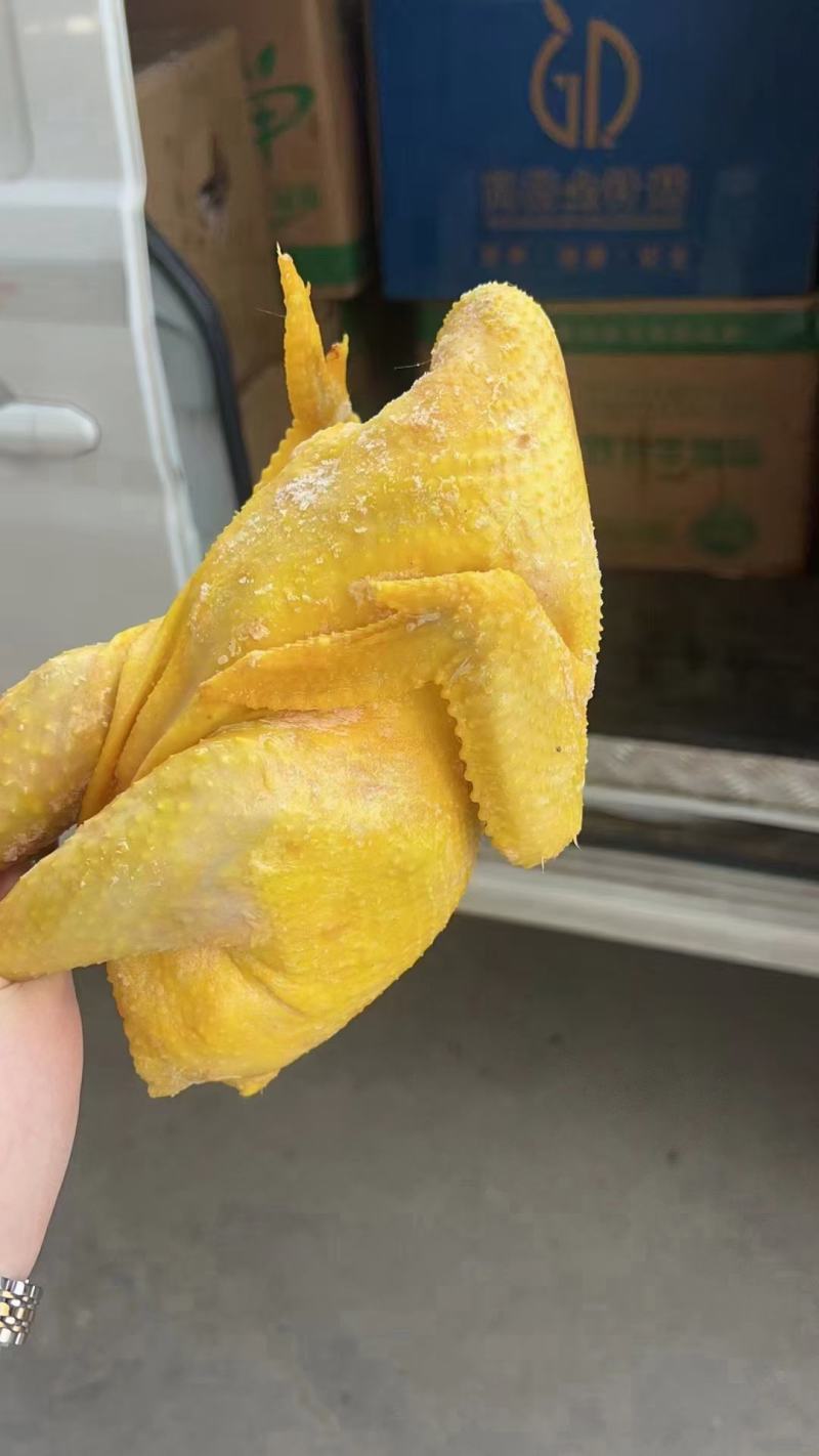 【盐焗鸡】盐焗鸡，颜色好。品相好价格美丽市场火爆得不得了
