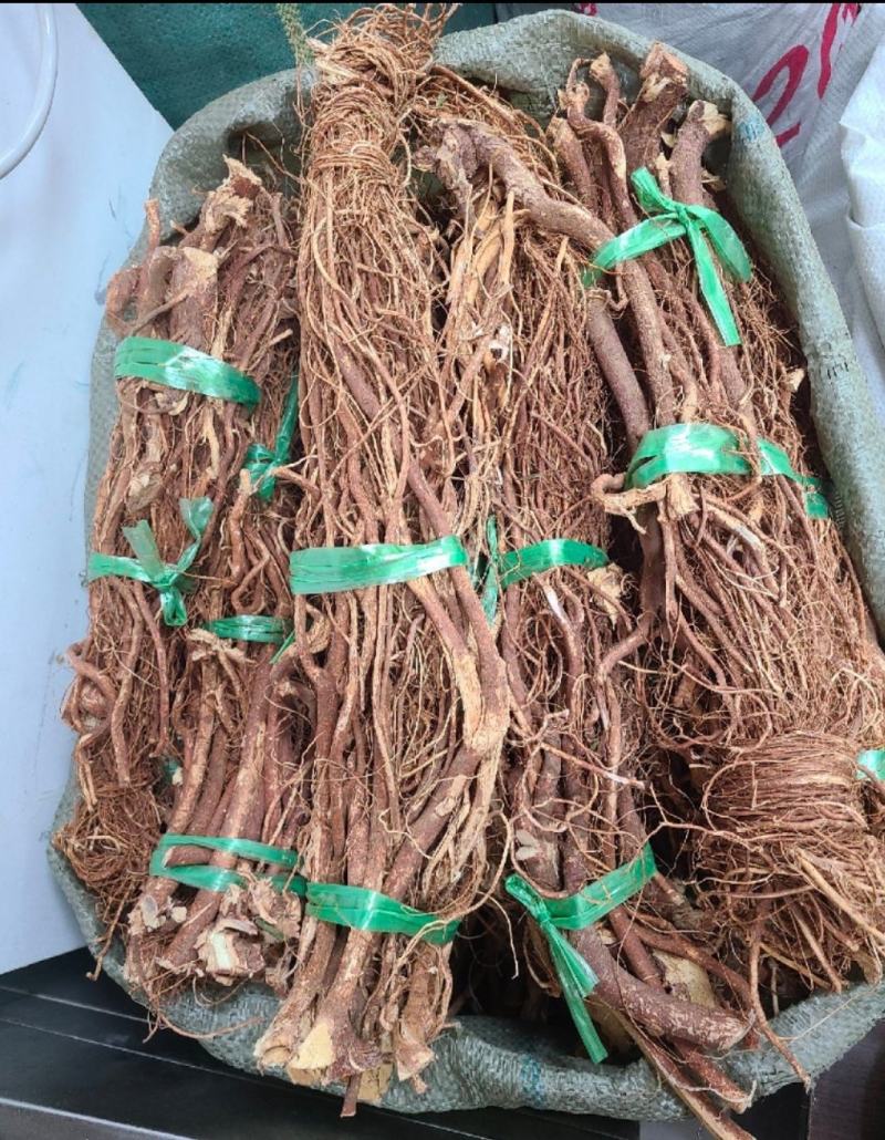 纯野生五指毛桃，大量批发价格优惠，长期供货