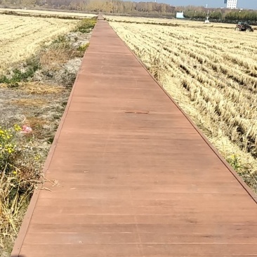 粮食，东北水稻，玉米