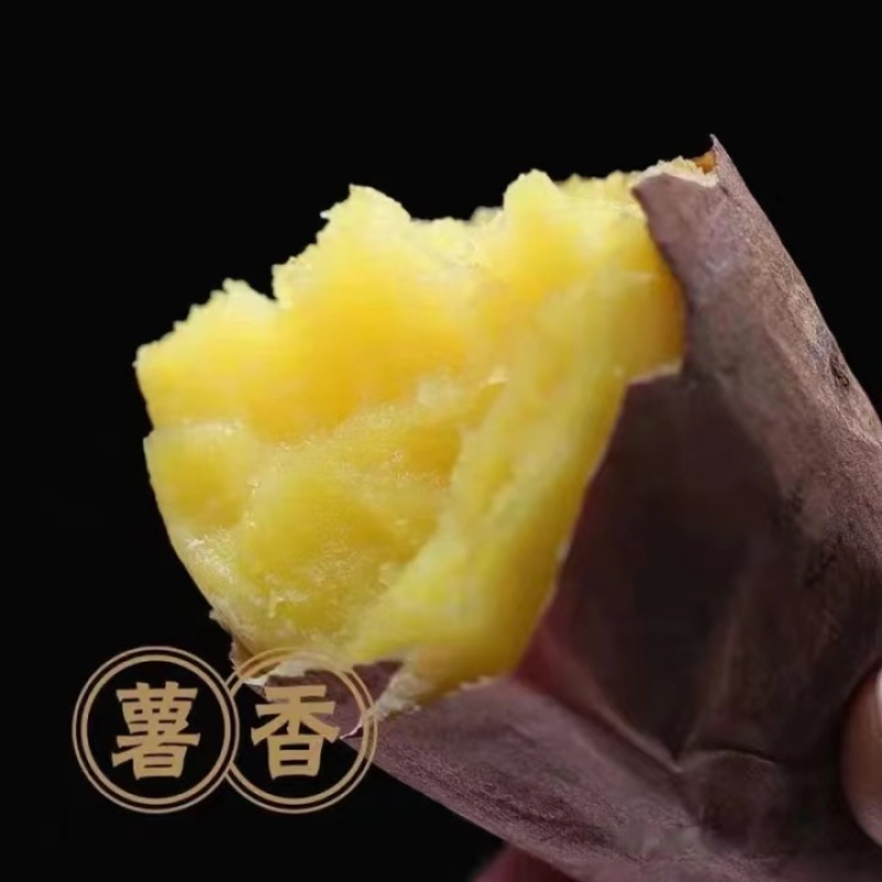 红瑶红薯，紫皮黄心，软糯香甜，产地一手货源，欢迎电联下单