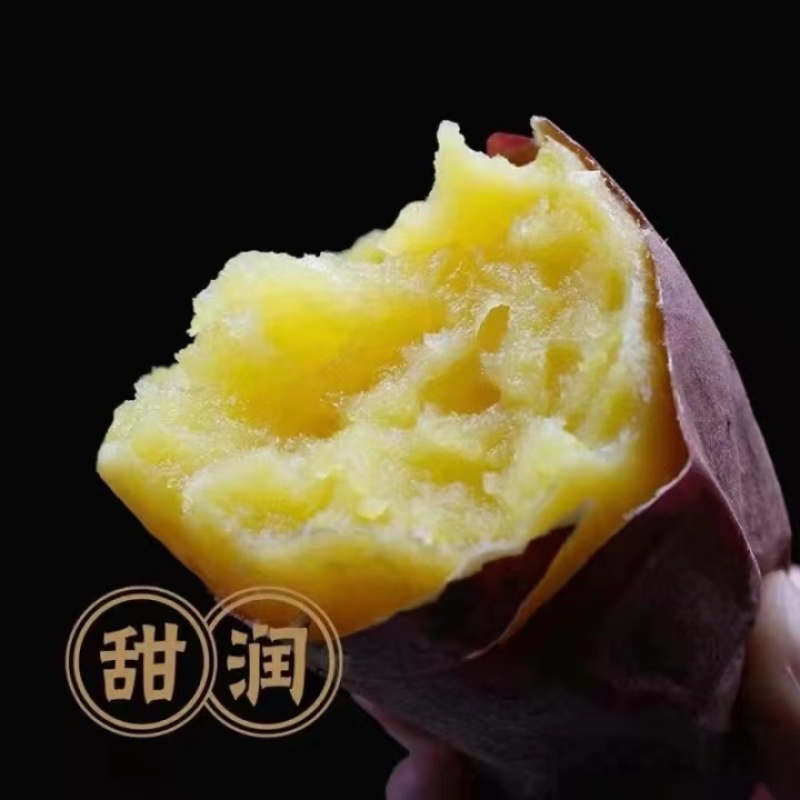 红瑶红薯，紫皮黄心，软糯香甜，产地一手货源，欢迎电联下单