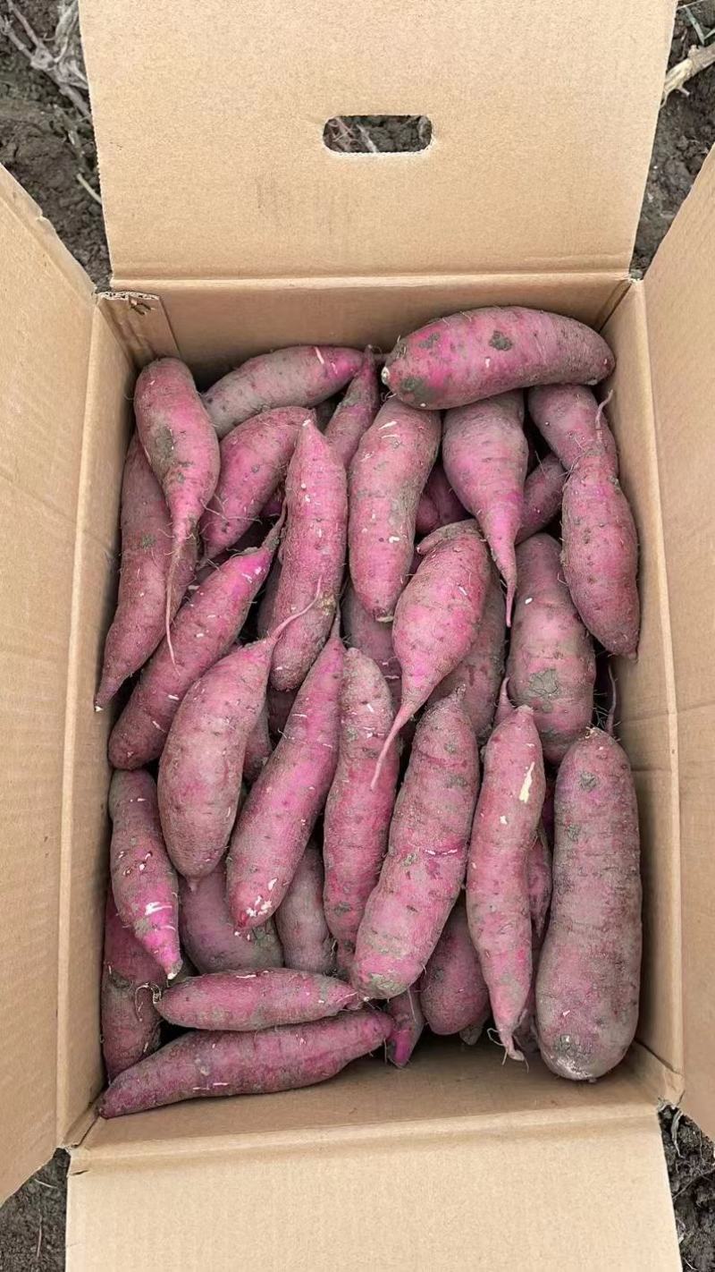 红瑶红薯，紫皮黄心，软糯香甜，产地一手货源，欢迎电联下单