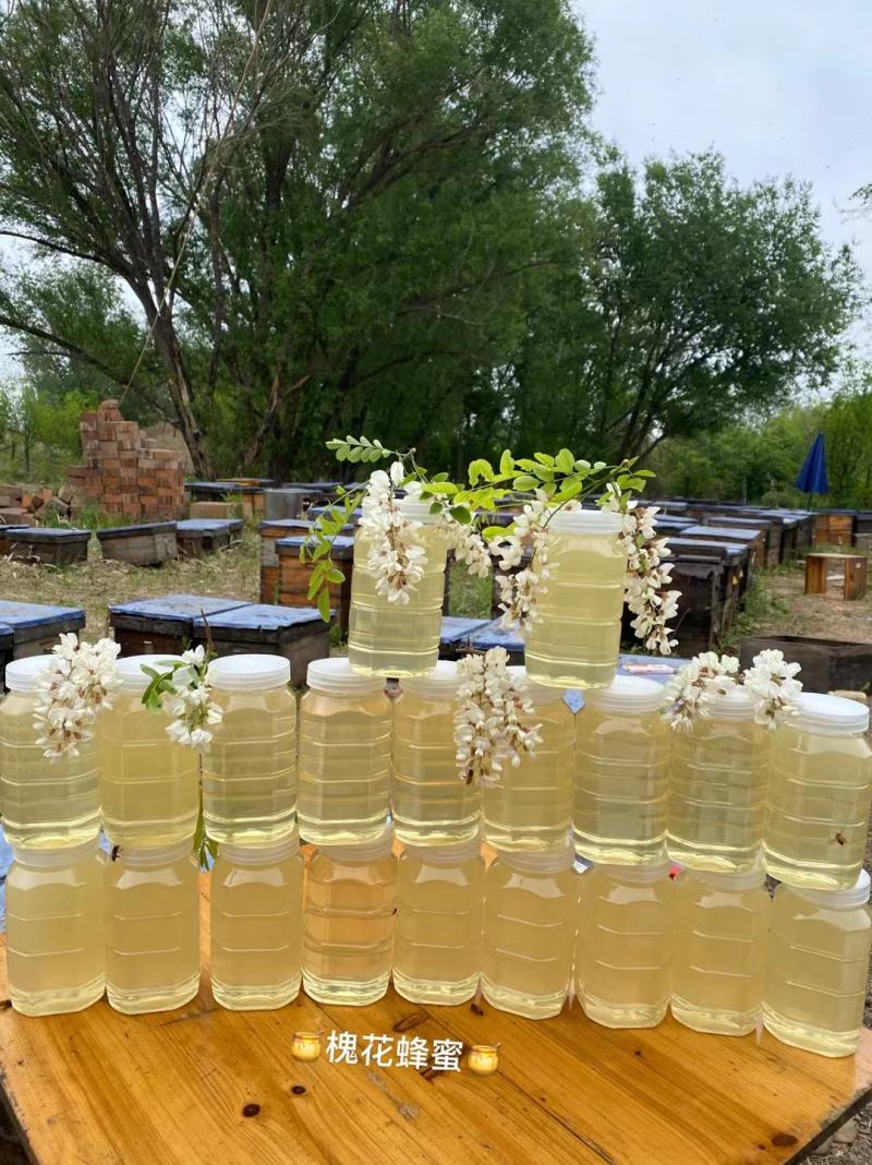 批发零售洋槐蜜、天然蜂蜜槐花蜜