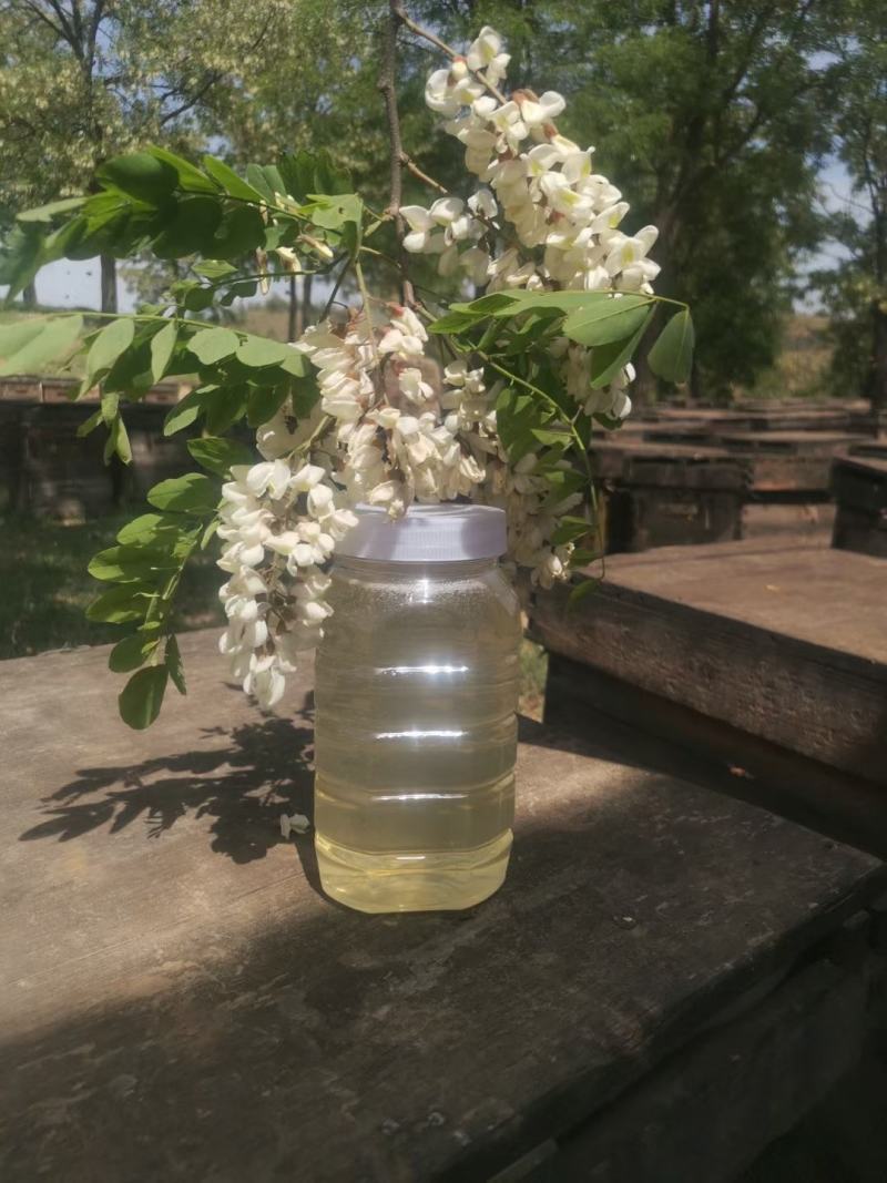批发零售洋槐蜜、天然蜂蜜槐花蜜